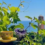 Riviera, Sea View, Pool, Jacuzzi, Sauna, Walk To The * Сент-Максим