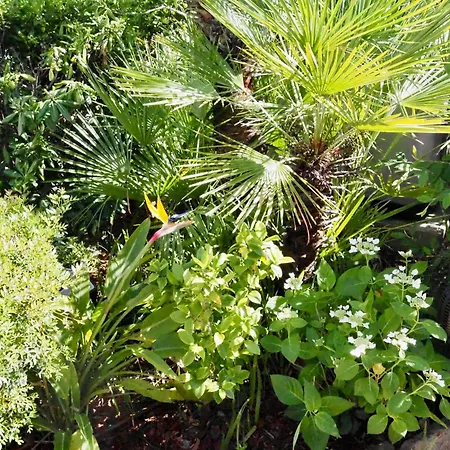 Willa Riviera, Sea View, Pool, Jacuzzi, Sauna, Walk To The *