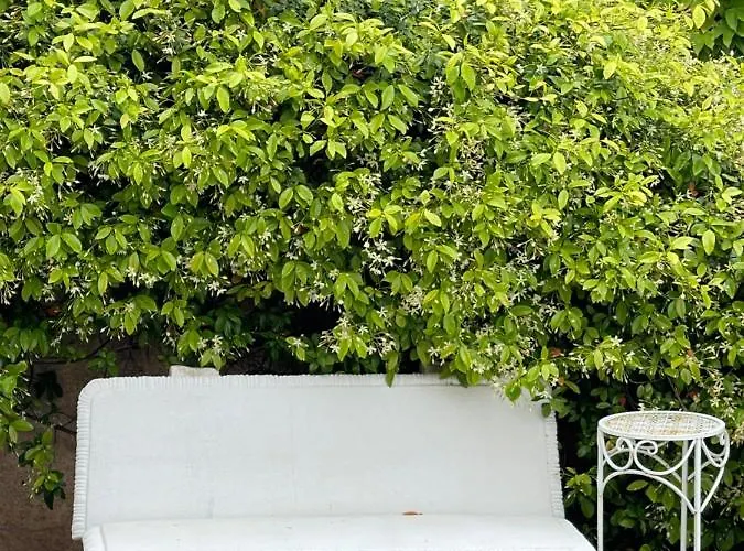 Willa Riviera, Sea View, Pool, Jacuzzi, Sauna, Walk To The