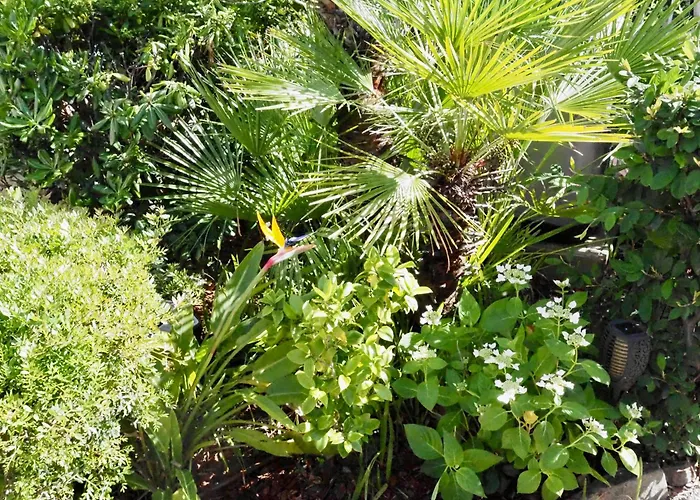 Willa Riviera, Sea View, Pool, Jacuzzi, Sauna, Walk To The *