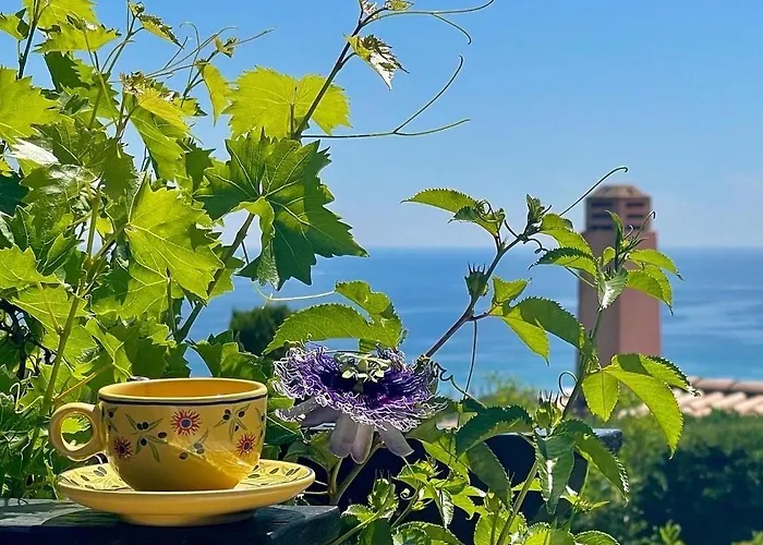 Riviera, Sea View, Pool, Jacuzzi, Sauna, Walk To The * Sainte-Maxime